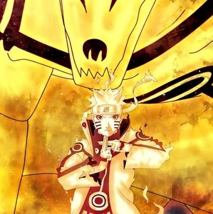 Meet your Posher, Alloli